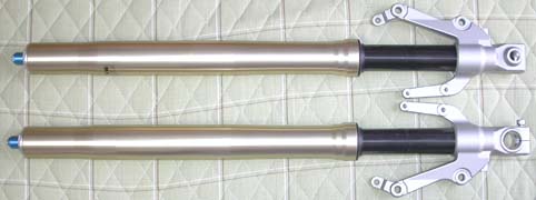 奇跡の前足…となるか??